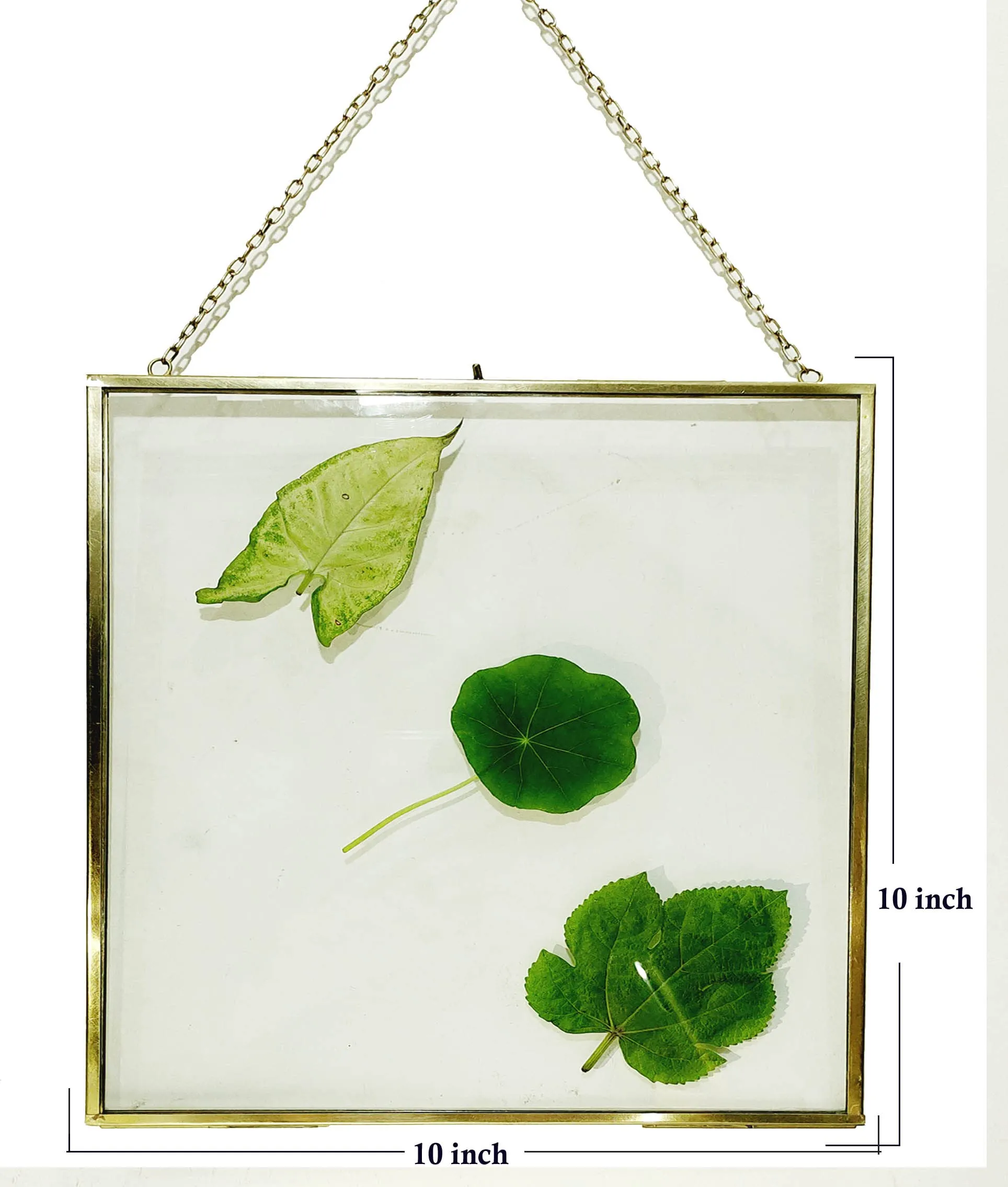 A.H Royal Decorative Brass & Glass Hanging Square Photo Frame with Pressed Glass (Size - 10x10 inch)