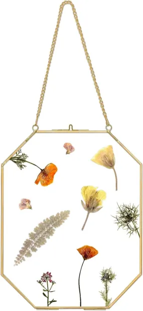 Art India Collections Home Decor Glass & Metal Hanging Picture Frame for Wall Decoration, with 2 Sides Glass Golden Decorative Hanging Photo Frame Octagonal 6x8"
