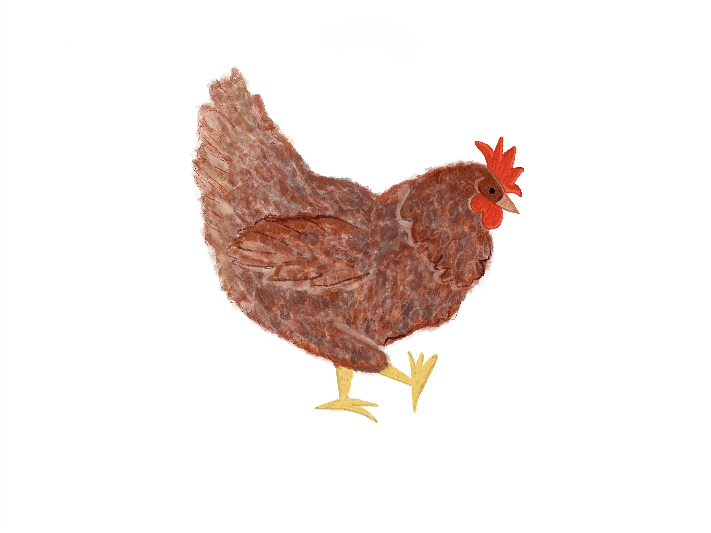 Chickens Exclusive by LennyLamb x Little Zen One Toddler Onbuhimo