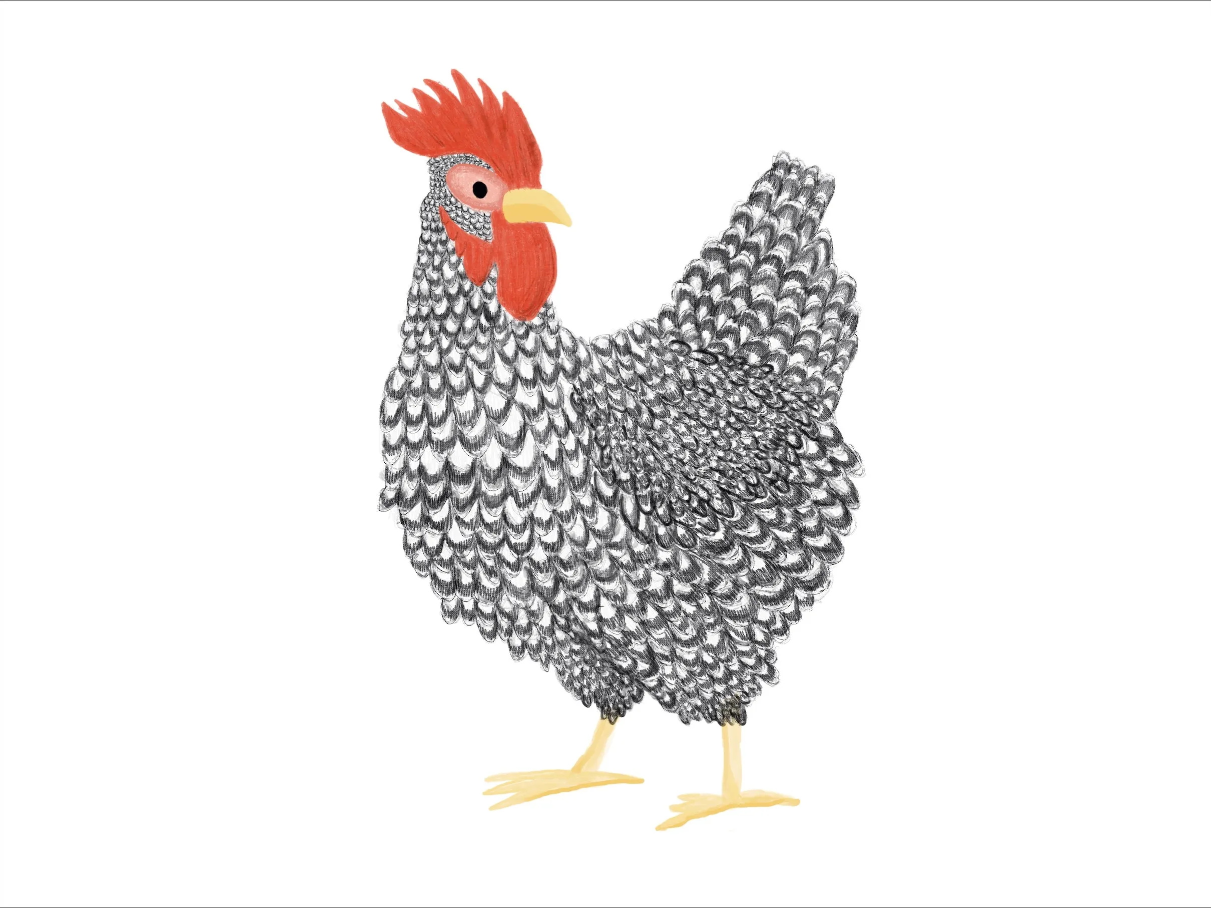 Chickens Exclusive by LennyLamb x Little Zen One Toddler Onbuhimo