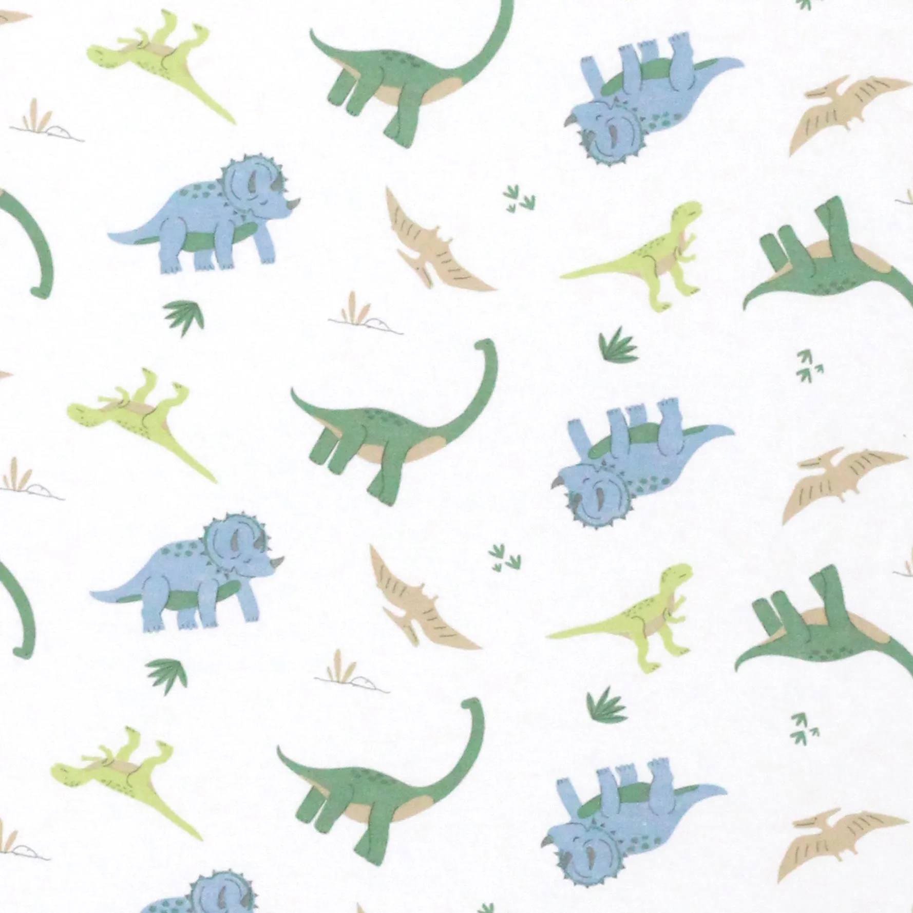 Dino World Printed converter | Baby Boy