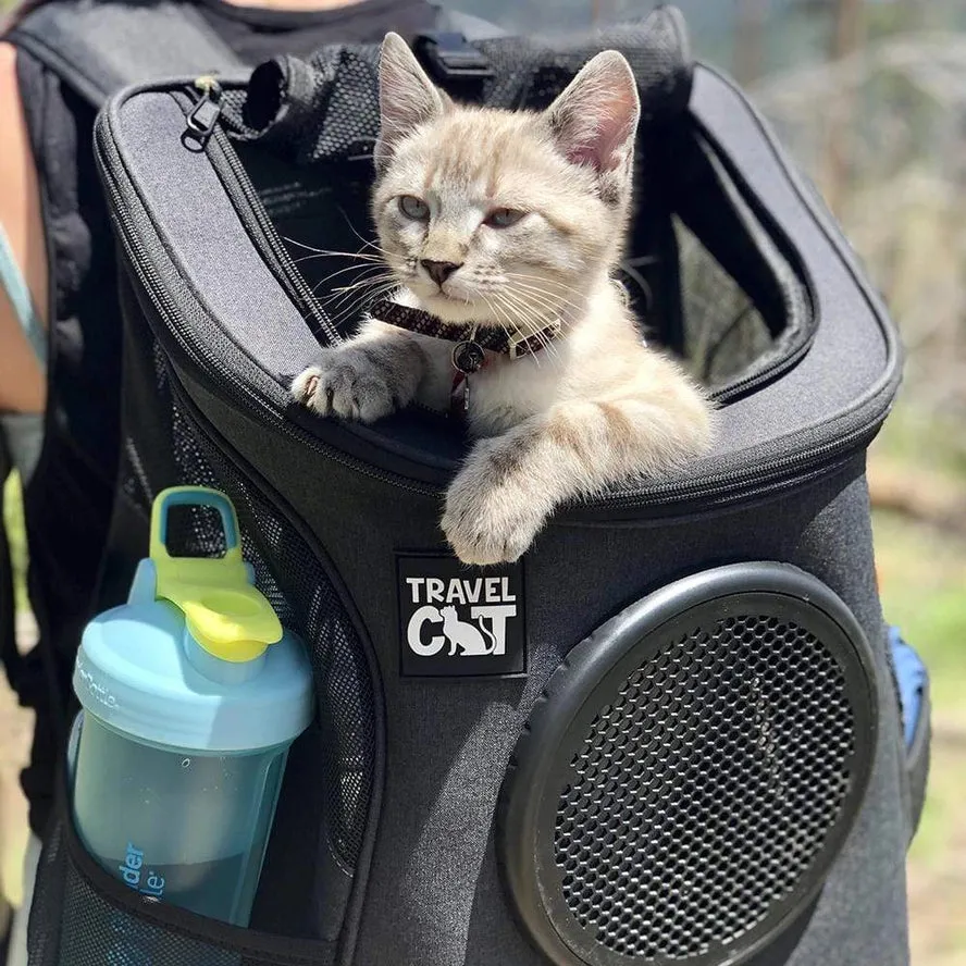 "the Fat Cat" Cat Backpack For Large Cats - Bubble Carrier