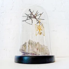 Real Bat Skeleton Hanging Over Smokey Quartz Cluster Stone in Glass Dome