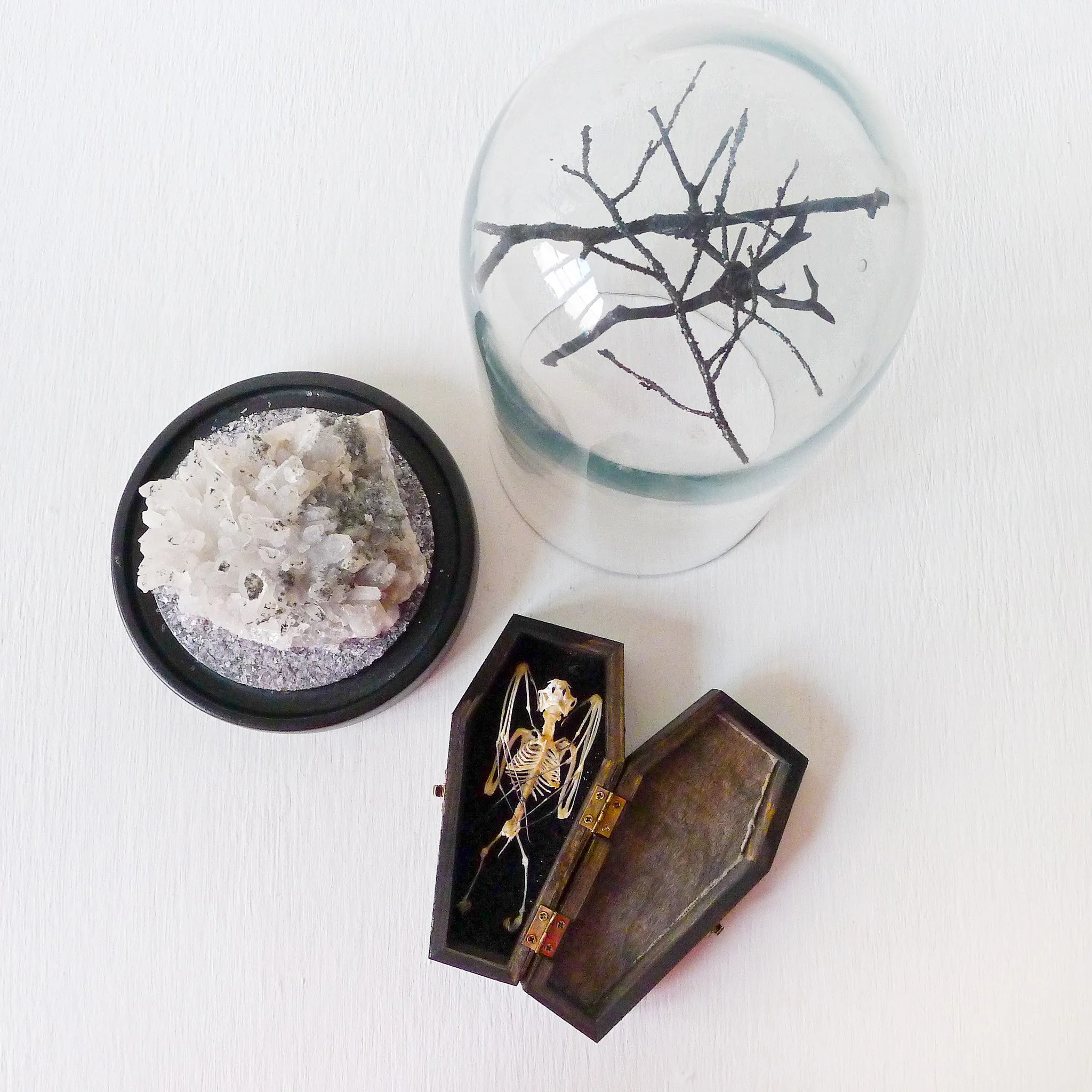 Real Bat Skeleton Hanging Over Smokey Quartz Cluster Stone in Glass Dome